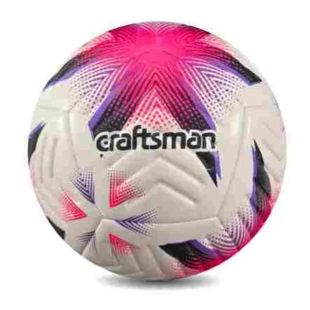 Art. 2323-12P Prizma